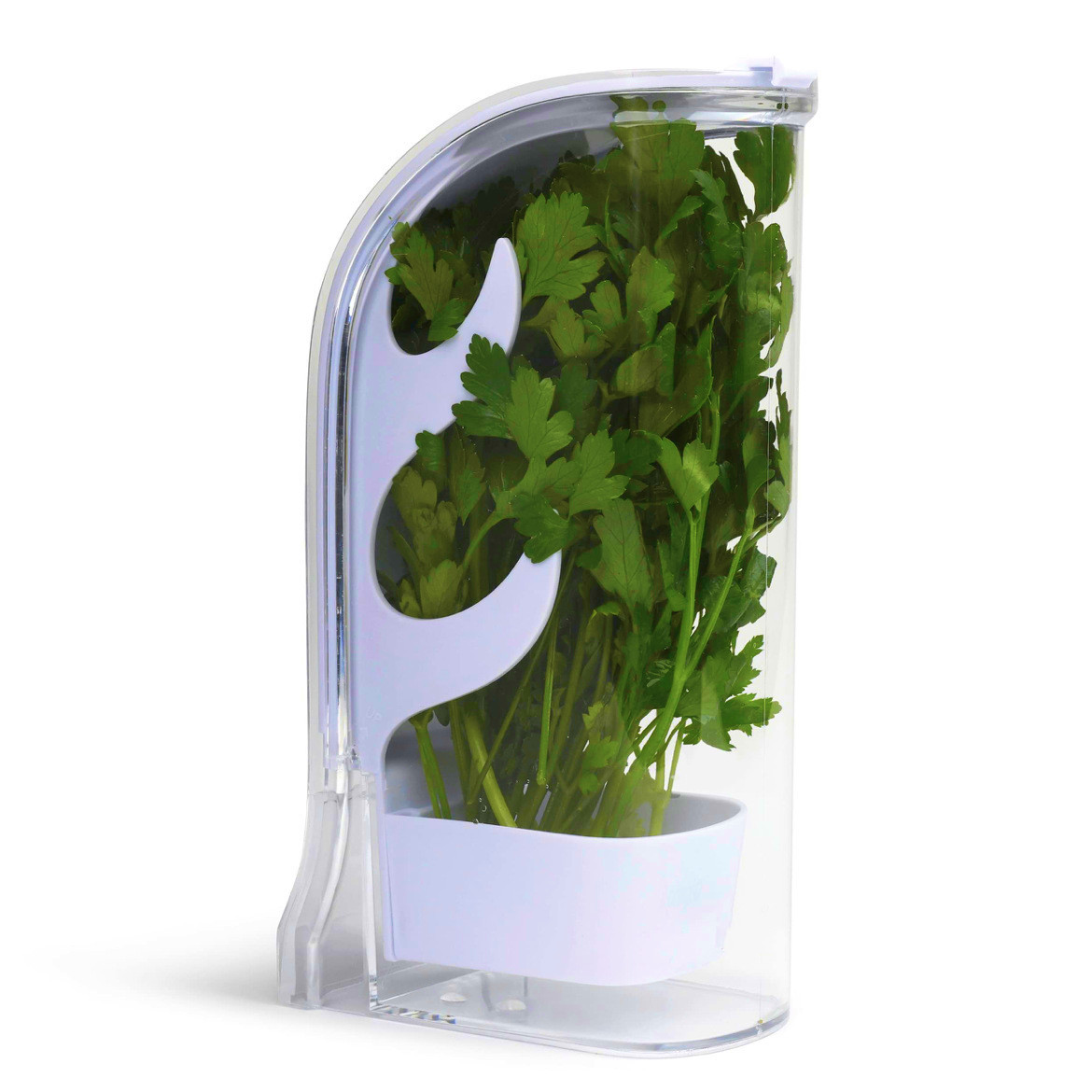 Herb Keeper Container - Herb Crisper Saver Pojemnik Lodówka Pojemnik