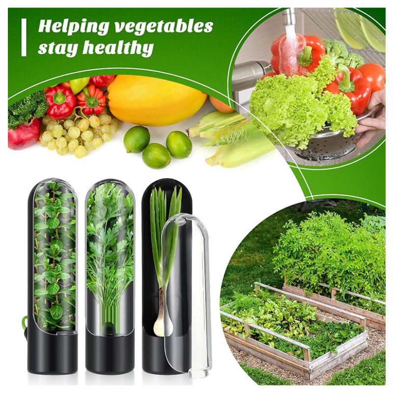 Herb Keeper Container - 1/2/3 szt. Pojemnik do przechowywania ziół,