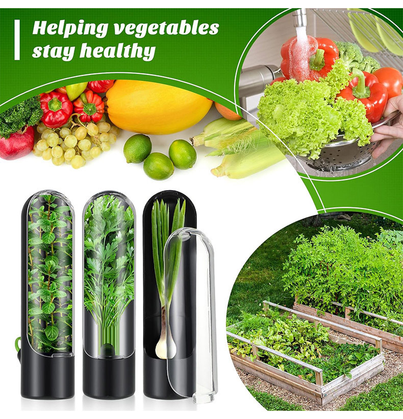 Herb Keeper Container - Butelka do przechowywania świeżych warzyw Herb