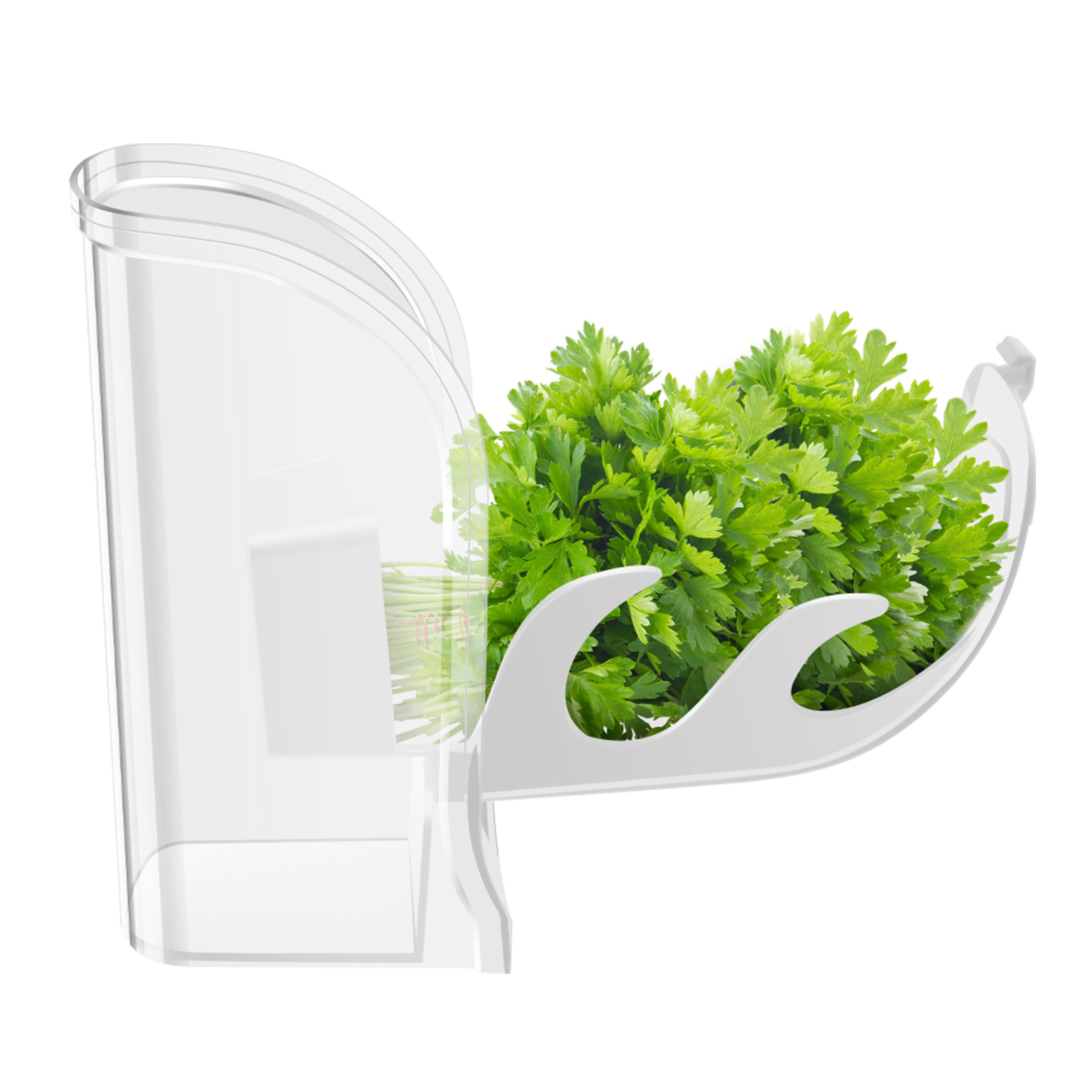 Herb Crisper Saver Pojemnik Lo – Herb Keeper Container recenzja i cena