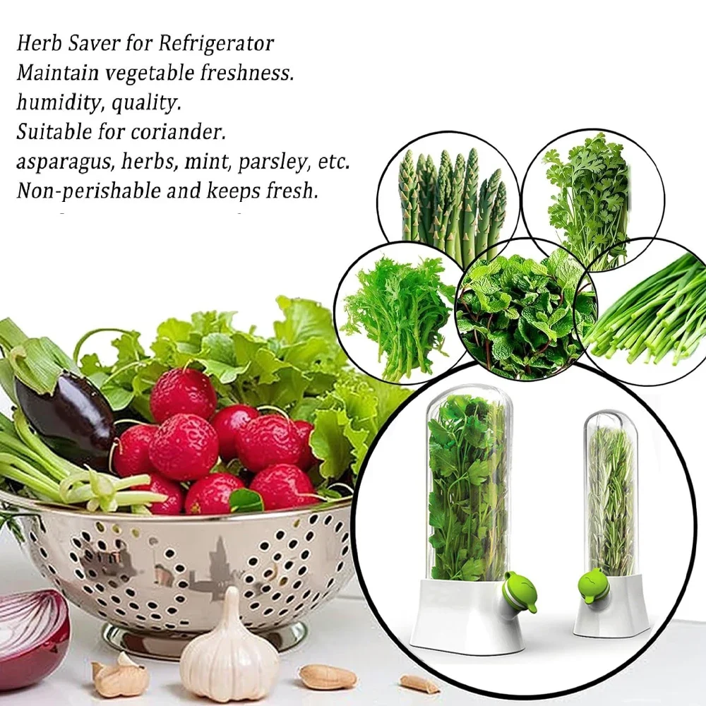 Pojemnik do przechowywania zió – Herb Keeper Container recenzja i cena
